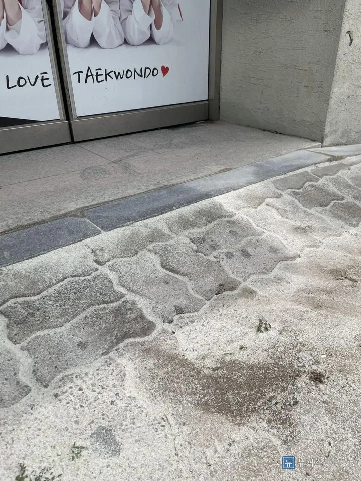 경계석과 보도블럭 높이를 맞춰 정리한 출입문 앞 바닥