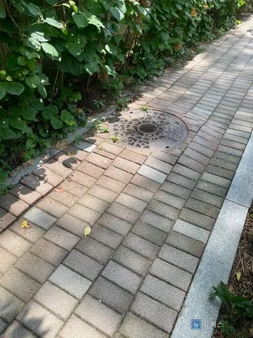 맨홀 주변으로 보도블럭이 내려앉아 단차가 생긴 인도