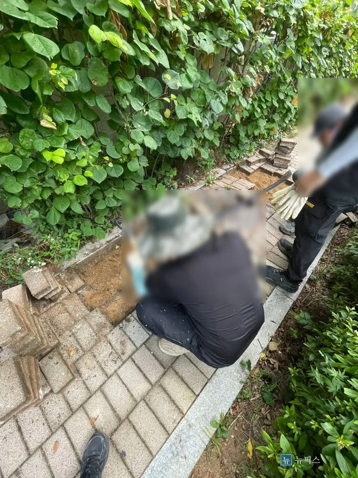 들어낸 보도블럭을 옆에 쌓아두고 바닥 모래를 고르는 작업자