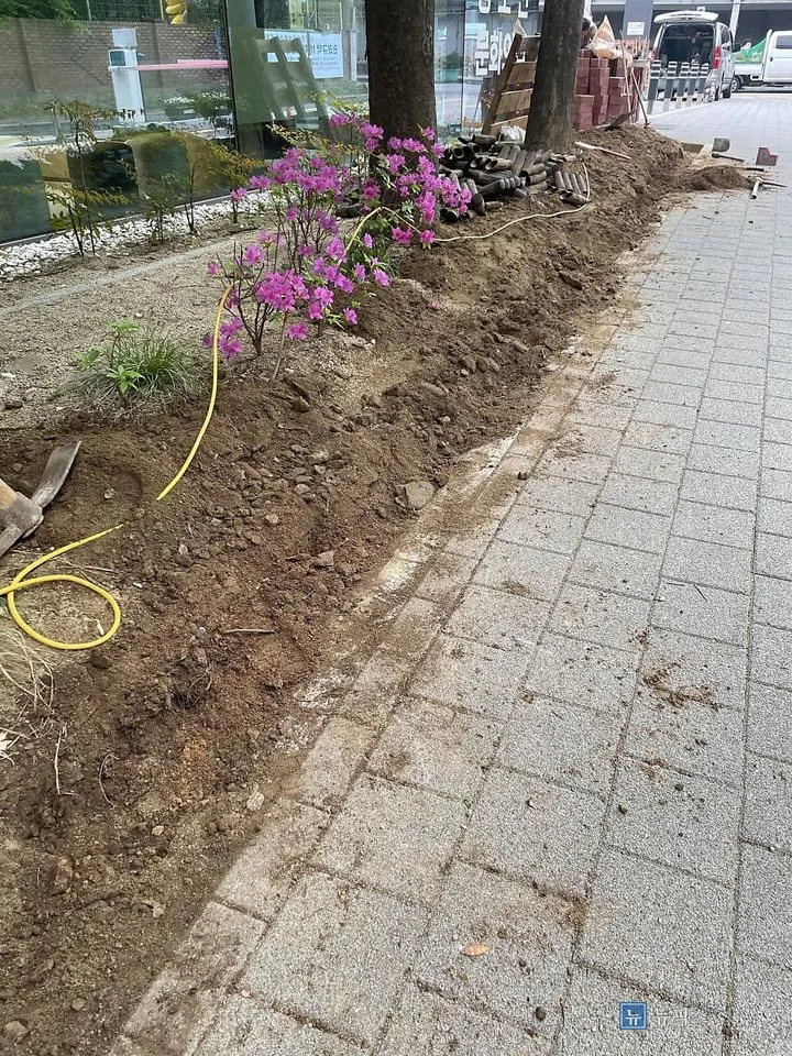 경계목을 걷어내고 흙을 파낸 화단 경계선