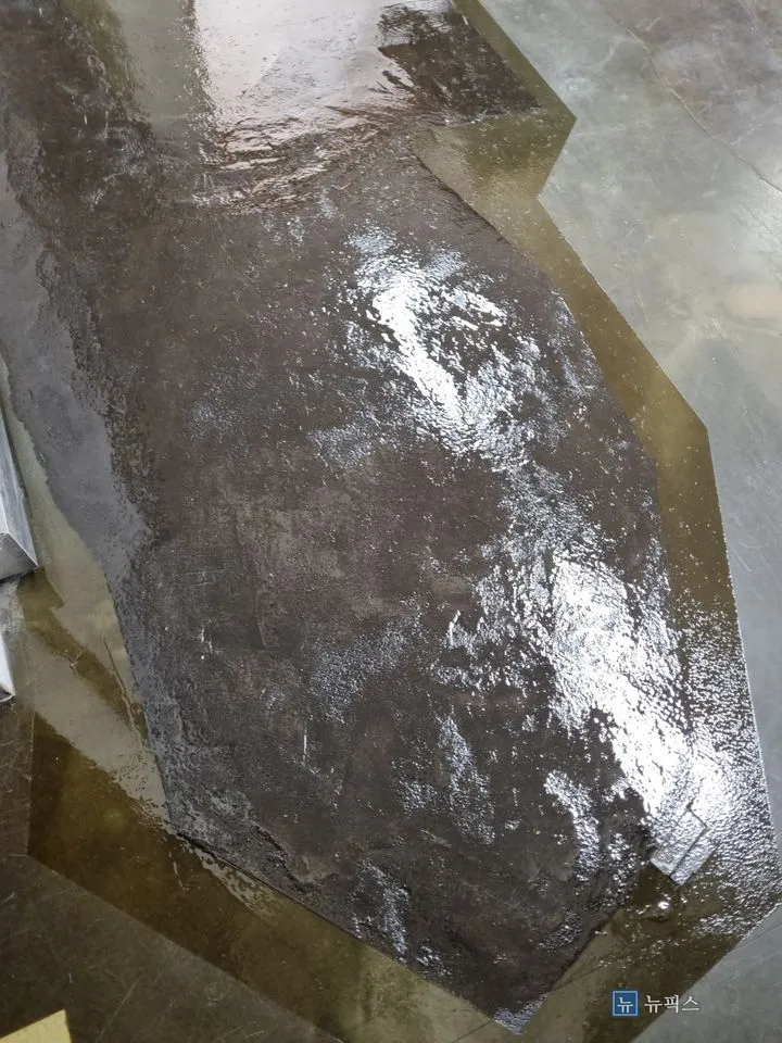 재코팅을 마쳐 광이 오른 부분 보수면