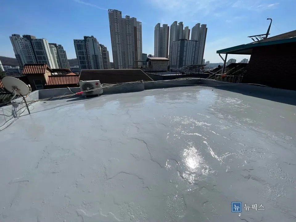 상도까지 마감된 옥상 바닥 전경
