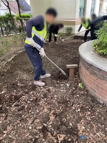 데크를 걷어낸 공원 쉼터 바닥을 갈퀴로 고르는 작업자